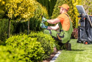 garden maintenance service